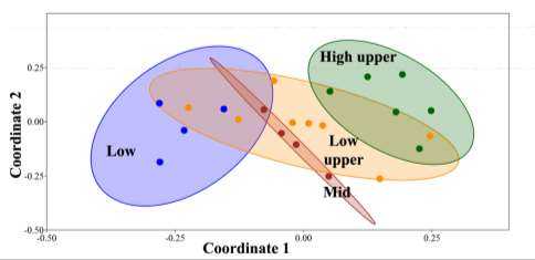 NMDS scatter plot of insectivorous bat communities at different elevations