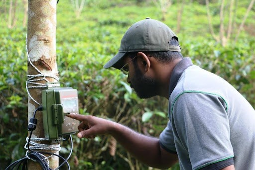 Primary researcher Dr. Tharaka Kusuminda checks an SM4BAT FS ultrasonic bat recorder in the field.