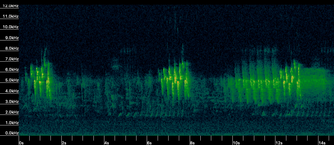 Registratore Acustico, Song Meter Mini