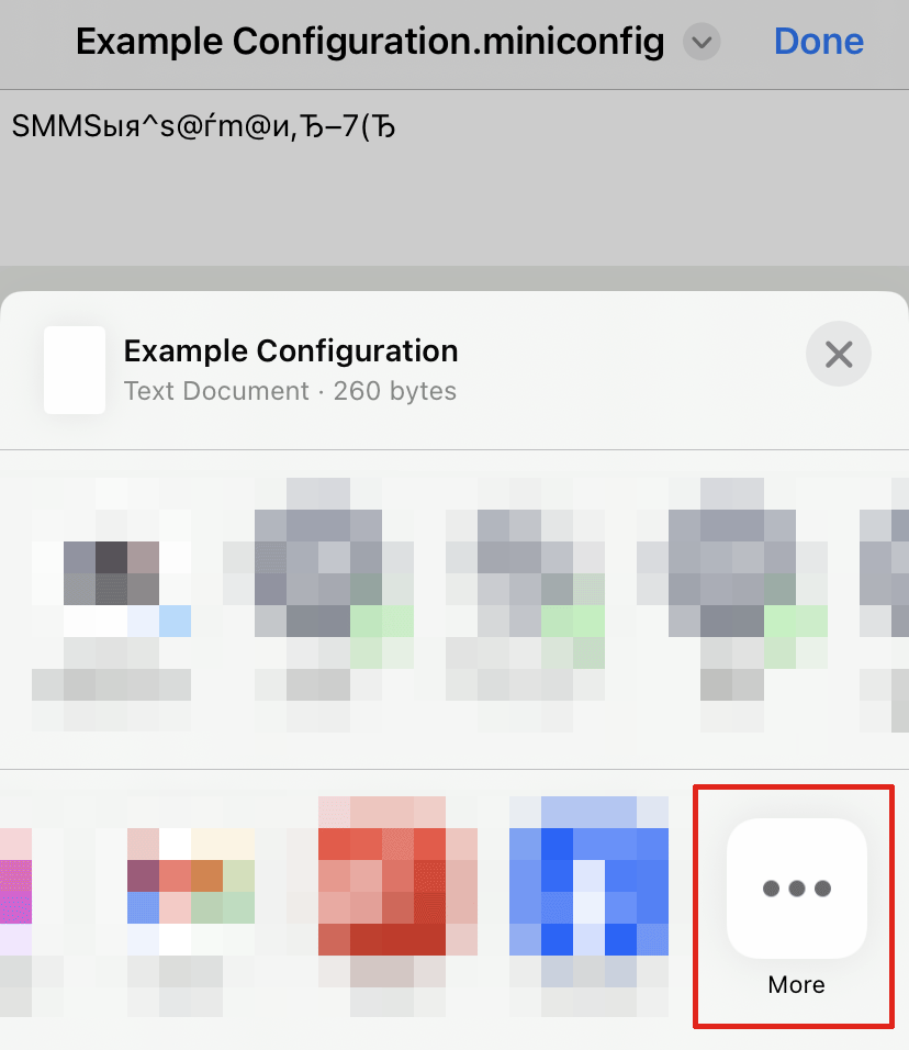 在 iOS 共享界面中，“Example Configuration”文件被列为文本文档。