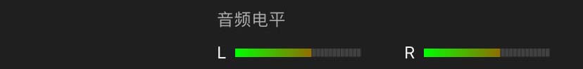 左右麦克风的音频电平由最顶部信息栏下方的两个可视电平表显示。