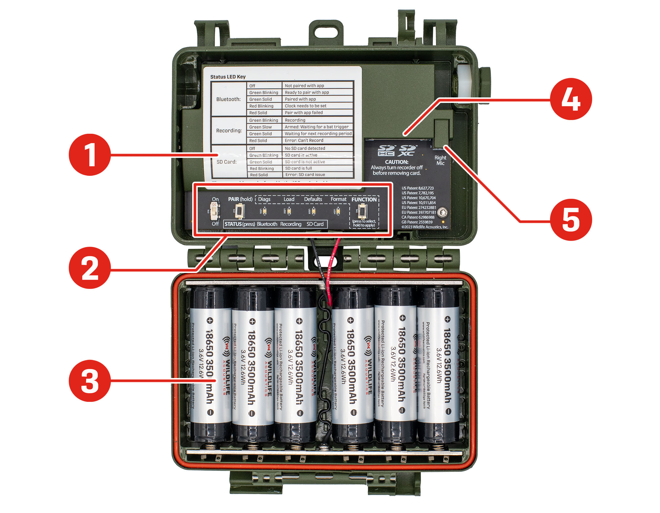 Se muestra un Song Meter Mini Bat 2 con la carcasa abierta y plana, con los componentes internos orientados hacia el lector. Se indican las ubicaciones de los principales elementos: la clave de LED Status (Estado) es una pegatina impresa que cubre una gran parte del lado izquierdo del compartimento superior. El panel de control, una fila horizontal con un interruptor, botones y varios LED, se sitúa a lo largo del borde inferior del compartimento superior. El compartimento de la batería ocupa la totalidad del compartimento inferior, que se muestra aquí con seis baterías de iones de litio instaladas. La ranura para tarjetas SD se encuentra en la parte superior derecha del compartimento superior, protegida por una tapa de plástico con la abertura orientada hacia abajo. El conector del micrófono derecho está justo a la derecha de la ranura para tarjetas SD y su abertura está orientada hacia abajo.