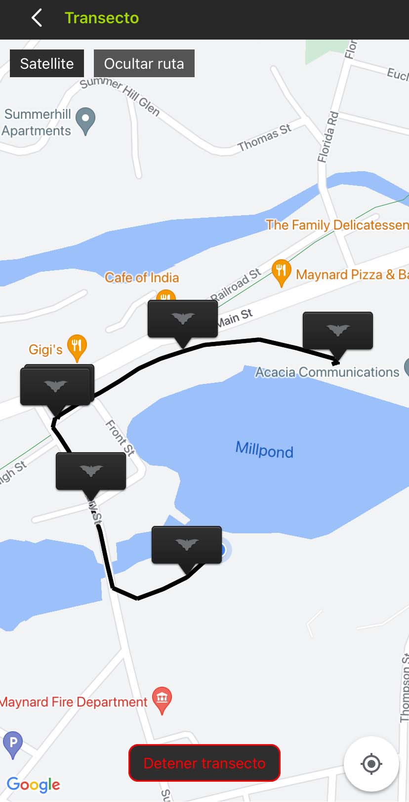 Captura de pantalla de la interfaz de Transecto. Una vista de mapa por satélite muestra un camino blanco alrededor de un vecindario residencial y un estanque. Las banderas negras con iconos de murciélago indican la ubicación de los archivos de audio a lo largo de la ruta.